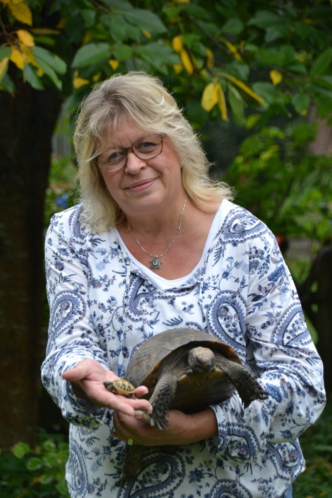Seit fast 15 Jahren besteht eine Auffangstation für Schildkröten auf der Hardt. Barbara Klobusch kümmert sich dabei liebevoll um die kleinen und großen gepanzerten Reptilien. 