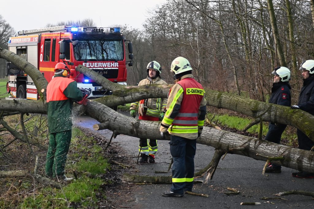 24.01.2024 - Dorsten - Sturmeinsätzen am Mittwochmorgen für die Feuerwehr in Dorsten – Gleich zwei Bäume fallen auf die Kippheide.