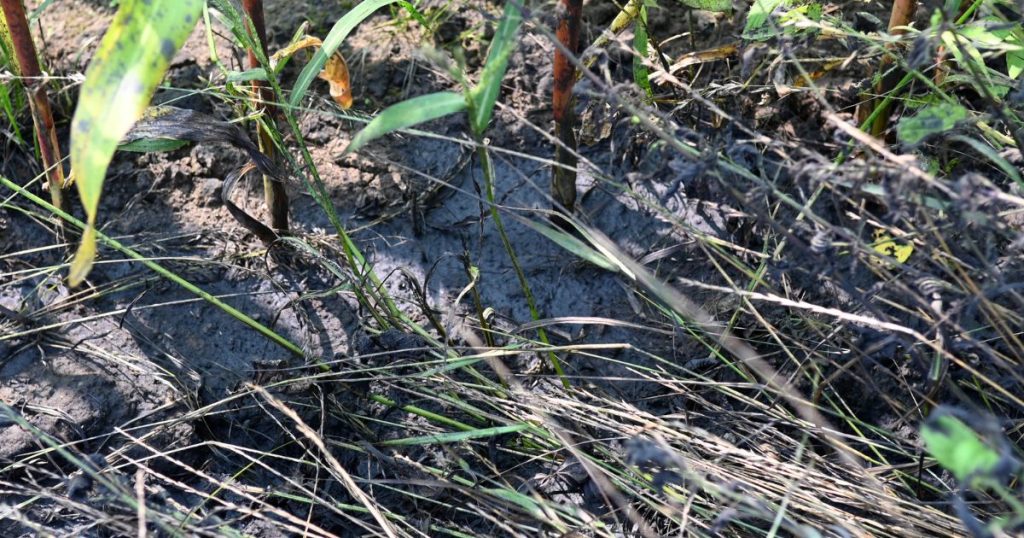 Der Kreis Recklinghausen reagiert auf Verunreinigungen mehrerer Straßen mit intensiven Reinigungsaktionen und erstattet Anzeige bei der Zentralstelle für Umweltkriminalität.