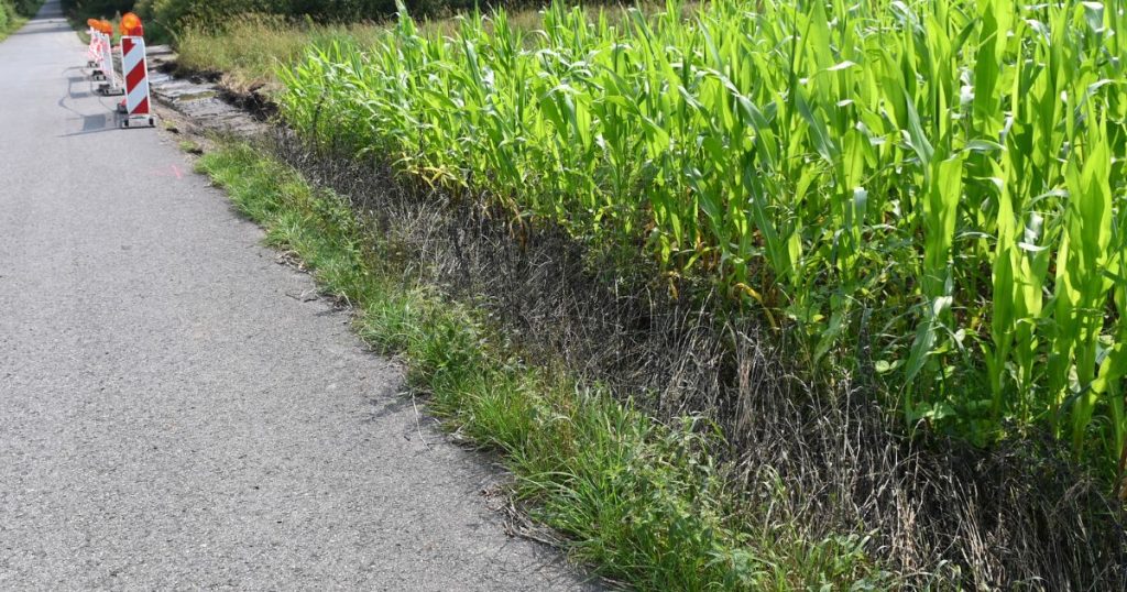 Der Kreis Recklinghausen reagiert auf Verunreinigungen mehrerer Straßen mit intensiven Reinigungsaktionen und erstattet Anzeige bei der Zentralstelle für Umweltkriminalität.